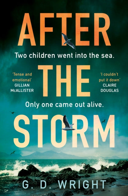 9780008702403-After the Storm