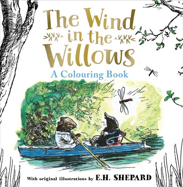 9780008821968, Wind in the Willows Colouring Book
