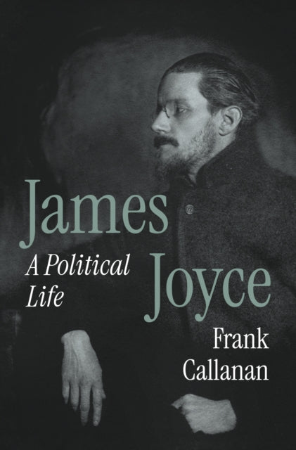 9780691227979, James Joyce : A Political Life