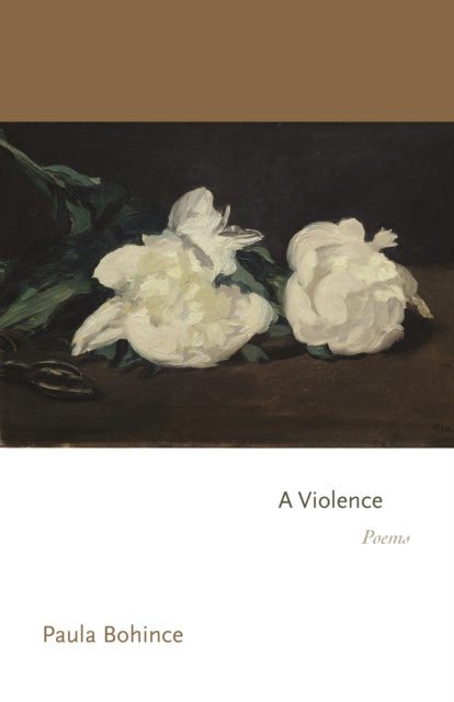 9780691277776, A Violence : Poems