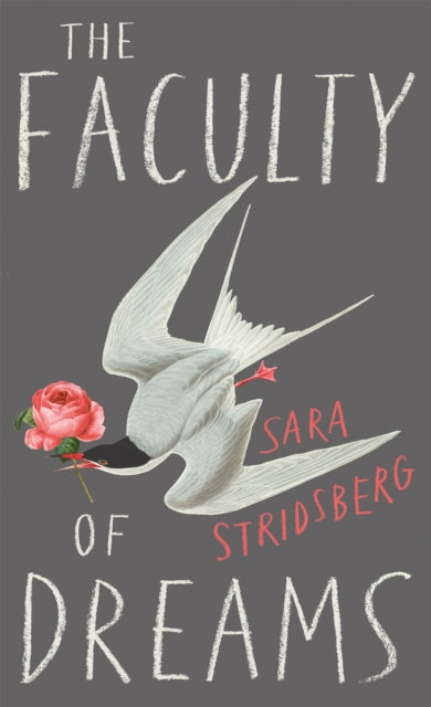 9780857054746-The Faculty of Dreams : Longlisted for the Man Booker International Prize 2019