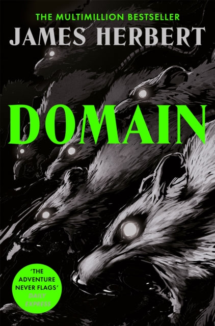9781037406256, Domain