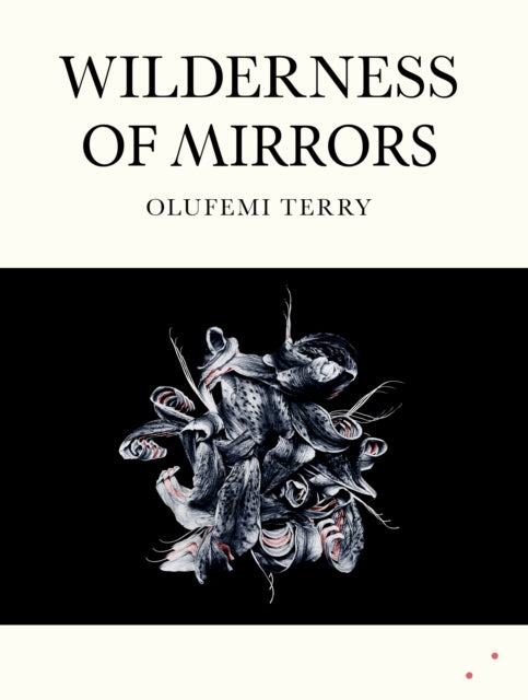 9781068433856, Wilderness of Mirrors