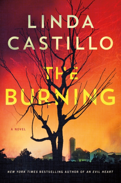 9781250360465-The Burning : A Novel