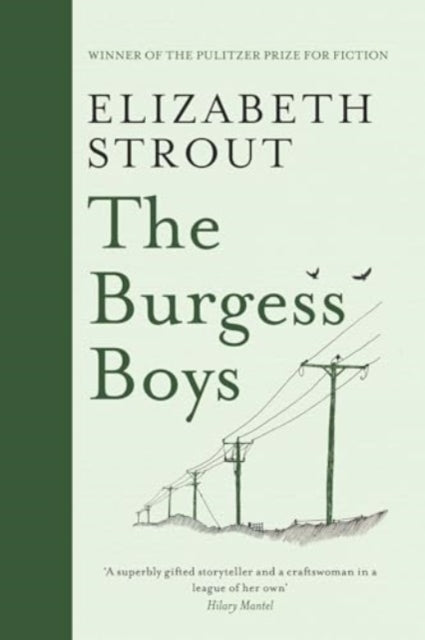 9781398532779-The Burgess Boys
