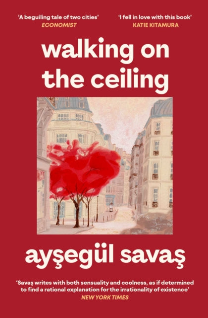 9781398562271, Walking on the Ceiling