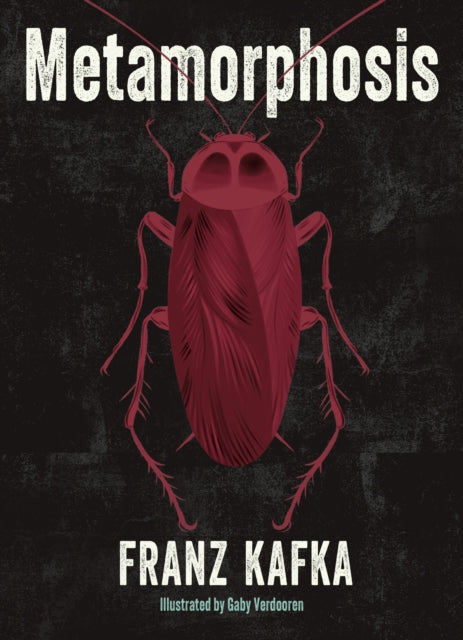 9781398839106-Metamorphosis : Illustrated by Gaby Verdooren