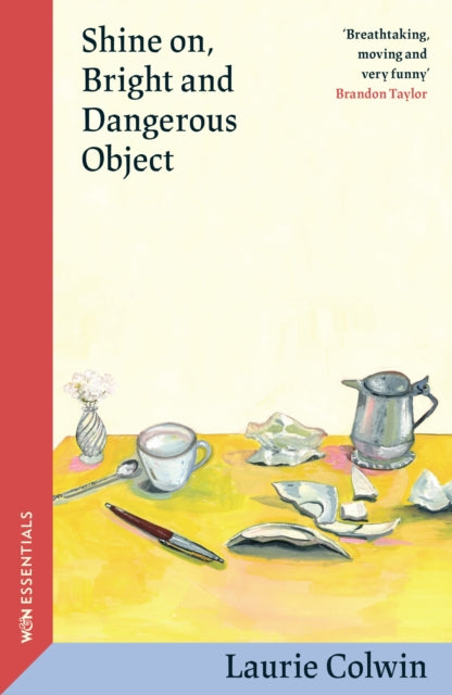 9781399614450, Shine on, Bright and Dangerous Object