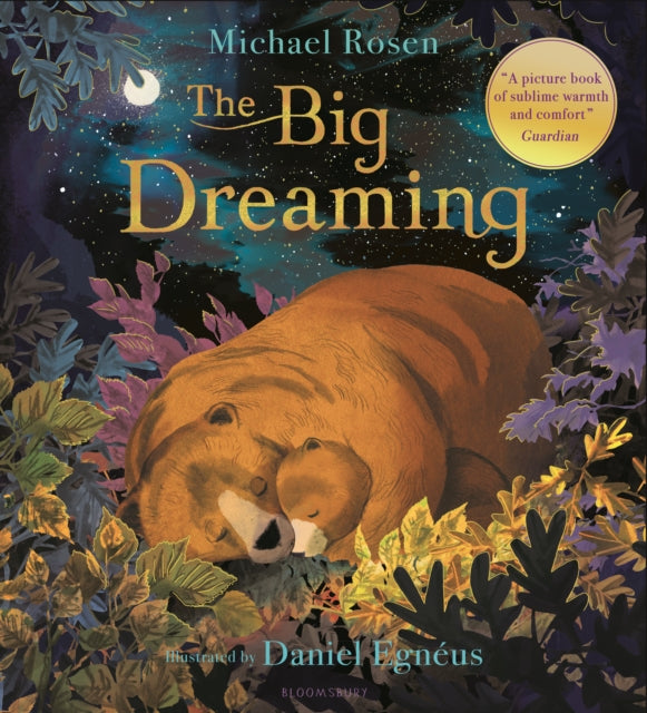 9781408883280, The Big Dreaming