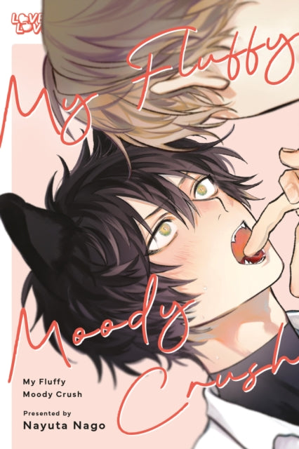 9781427882974, My Fluffy Moody Crush