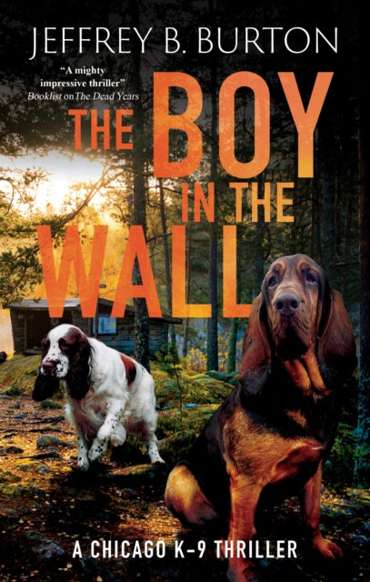 9781448316038, The Boy in the Wall
