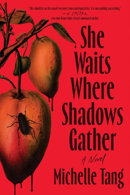 9781464251047, She Waits Where Shadows Gather : A Novel