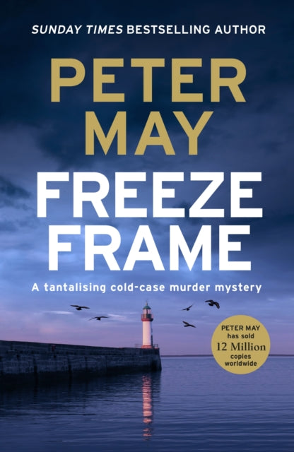 9781529434750-Freeze Frame : An engrossing instalment in the cold-case Enzo series (The Enzo Files Book 4)