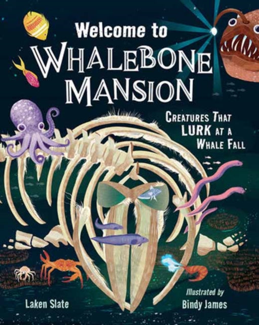 9781623545789, Welcome to Whalebone Mansion : Creatures That Lurk at a Whale Fall