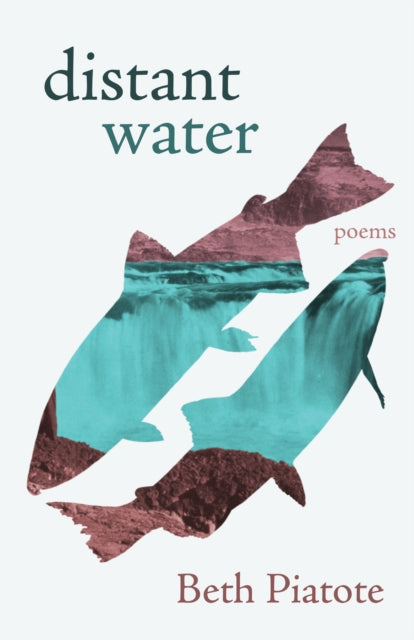 9781639551682, distant water : poems