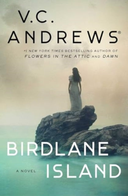 9781668015865, Birdlane Island : A Novel