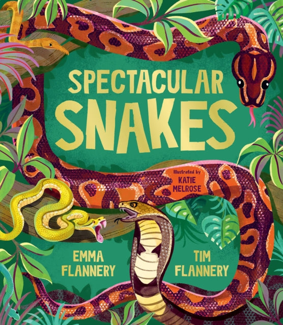 9781761211737, Spectacular Snakes