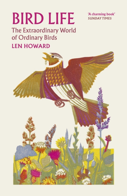 9781784879365, Bird Life : The Extraordinary World of Ordinary Birds