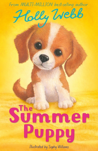 9781788957588, The Summer Puppy