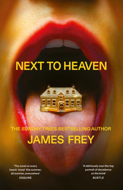 9781800755475, Next to Heaven : The PROVOCATIVE new novel from BESTSELLING author of A Million Little Pieces