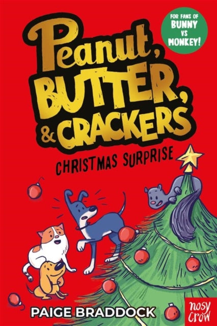 9781805134589, Christmas Surprise : A Peanut, Butter & Crackers story