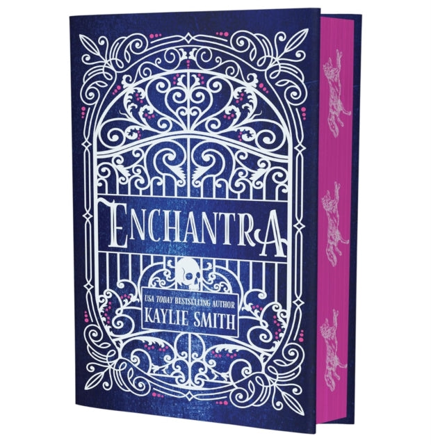 9781836186717, Enchantra : A spicy fantasy romance