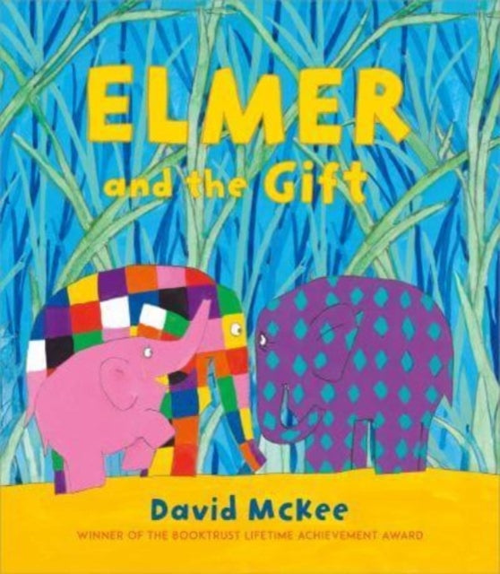 9781839131608-Elmer and the Gift