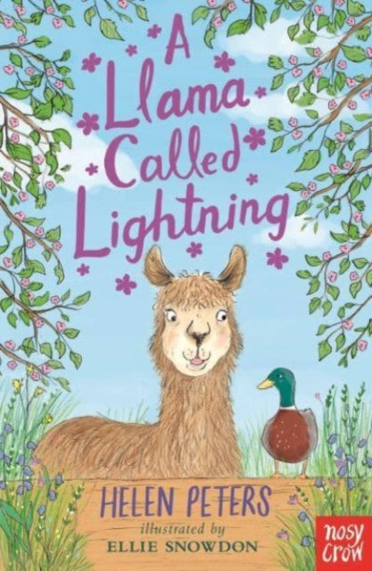 9781839948725-A Llama Called Lightning