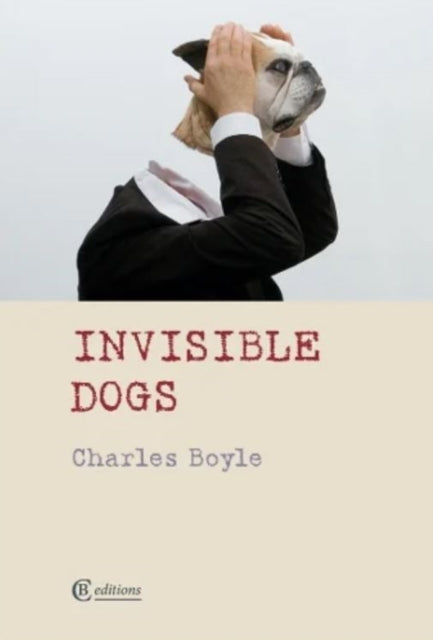 9781909585584-Invisible Dogs