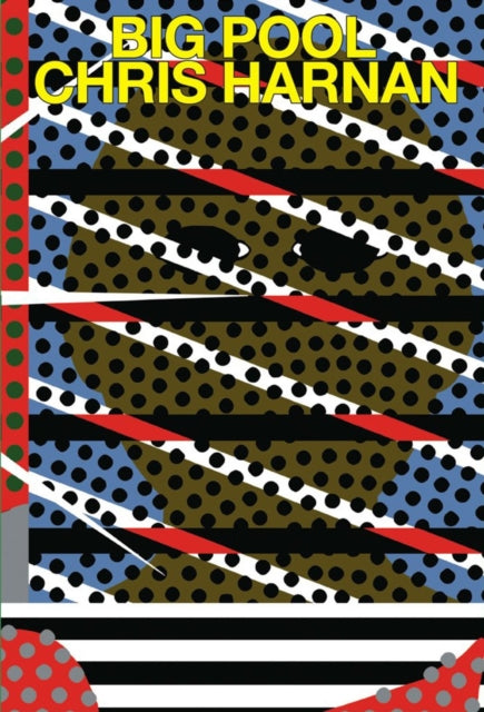 9781911081333, Big Pool