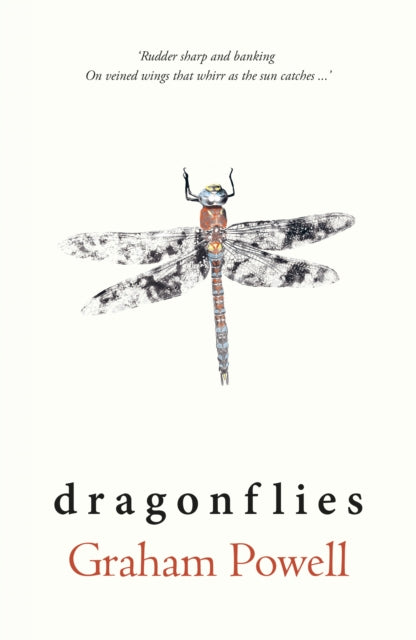 9781915067531-Dragonflies