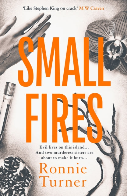 9781916788473-Small Fires : This year's most unsettling, hypnotic contemporary gothic thriller