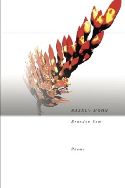 9781936797042, Babel's Moon
