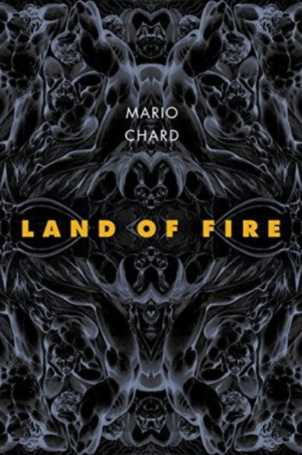 9781946482099, Land of Fire : Poems