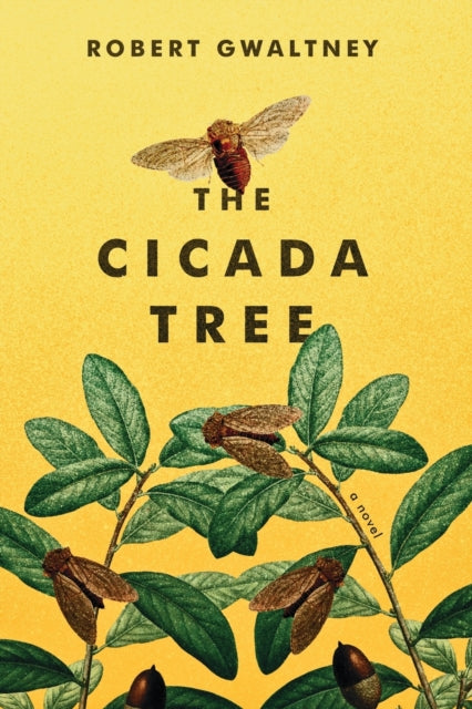 9781952439247-The Cicada Tree