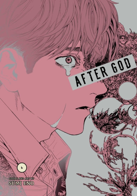 9781974758302, After God, Vol. 6