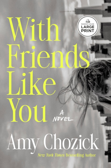 9798217349319, With Friends Like You : A Novel