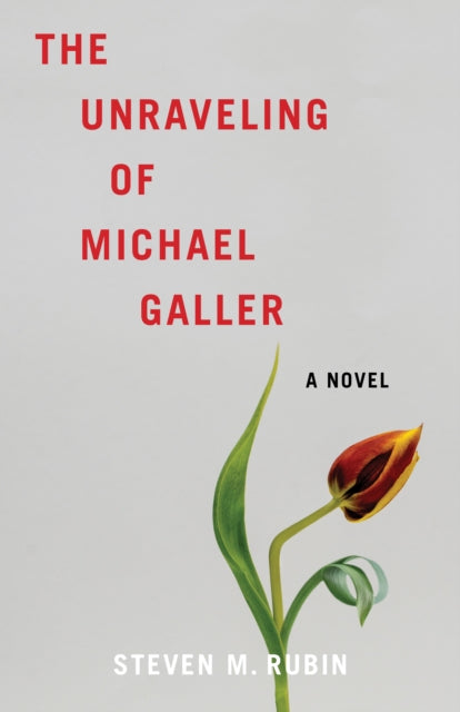 9798896363743, The Unraveling of Michael Galler : A Novel