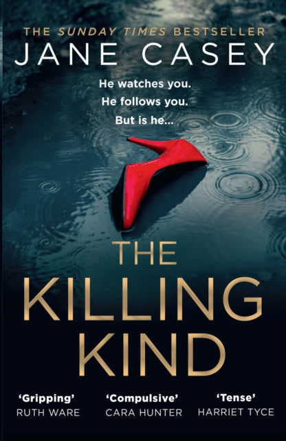 9780008404963-The Killing Kind