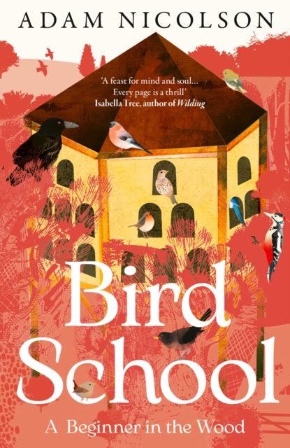 9780008490874, Bird School : A Beginner in the Wood