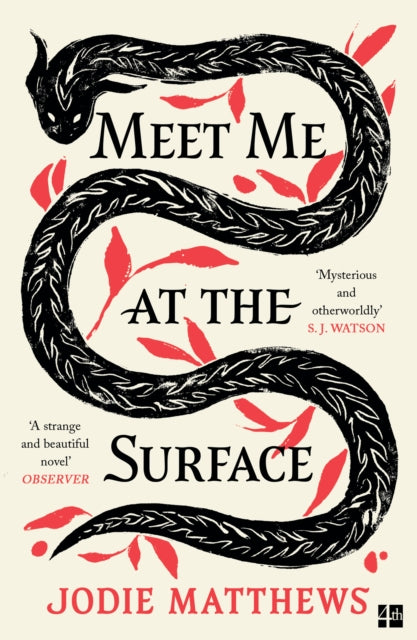 9780008585051-Meet Me at the Surface