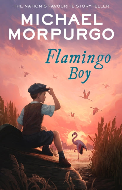 9780008638740-Flamingo Boy