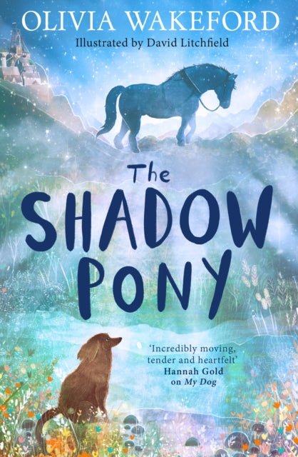9780008658618, The Shadow Pony