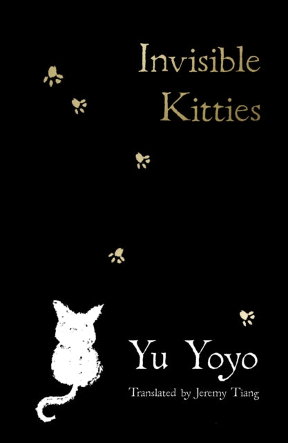 9780008719302-Invisible Kitties