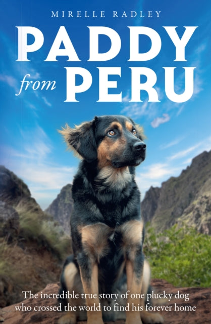 9780008814786, Paddy from Peru : The Incredible True Story of One Plucky Dog Who Crossed the World to Find His Forever Home