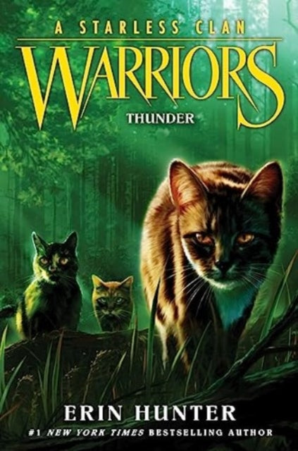 9780063050273-Warriors: A Starless Clan #4: Thunder