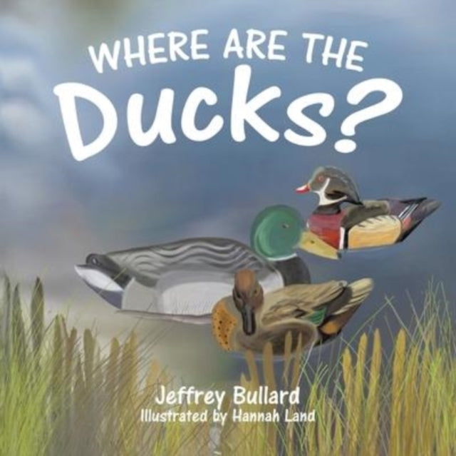 9780228872849-Where Are the Ducks?
