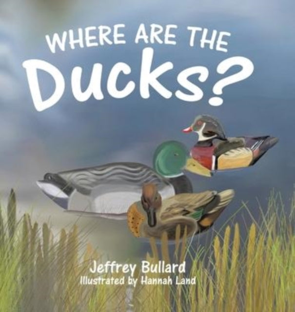 9780228874102-Where Are the Ducks?