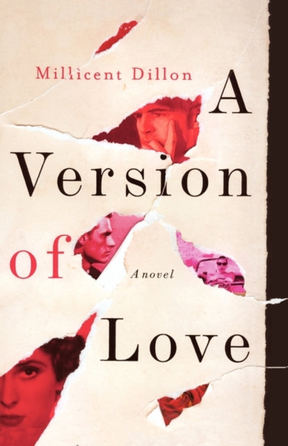 9780393342505, A Version of Love : A Novel