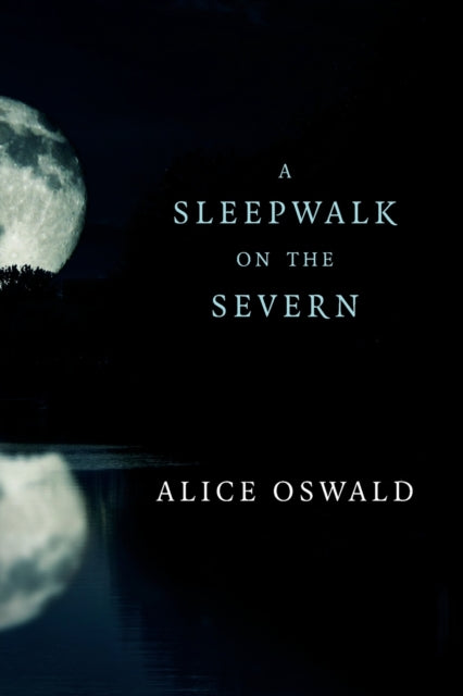 9780393355970, A Sleepwalk on the Severn